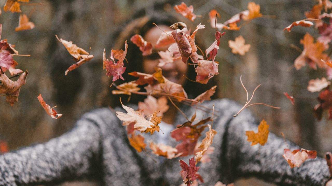 Que faire à Cracovie à l’automne : votre guide complet