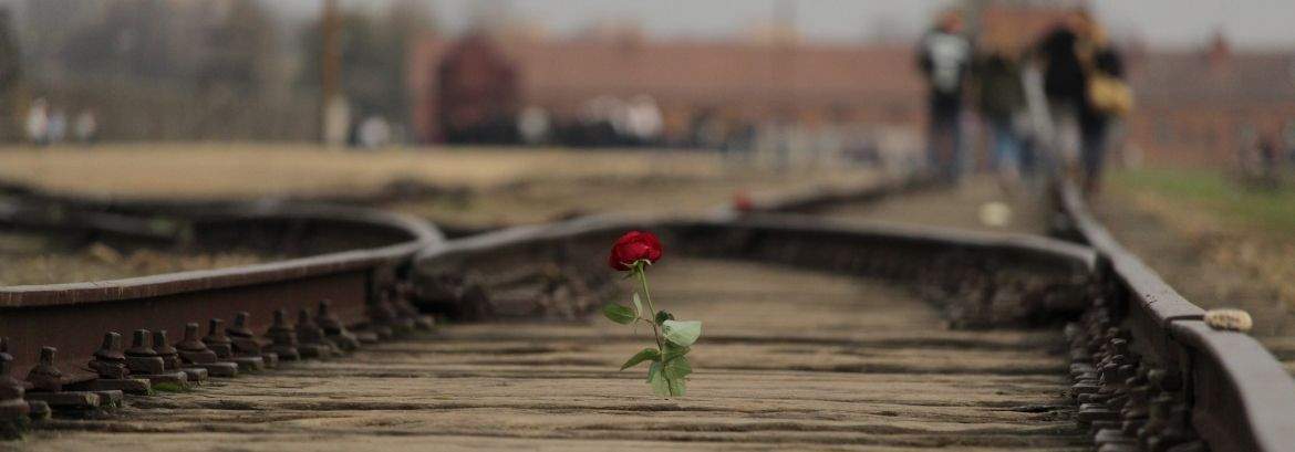 La rampe de Birkenau : site de sélection et témoin silencieux
