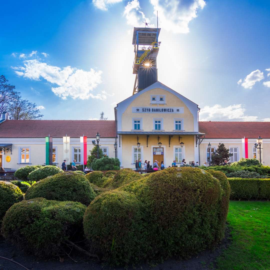 wieliczka cracovie mine de sel danilowicz arbre