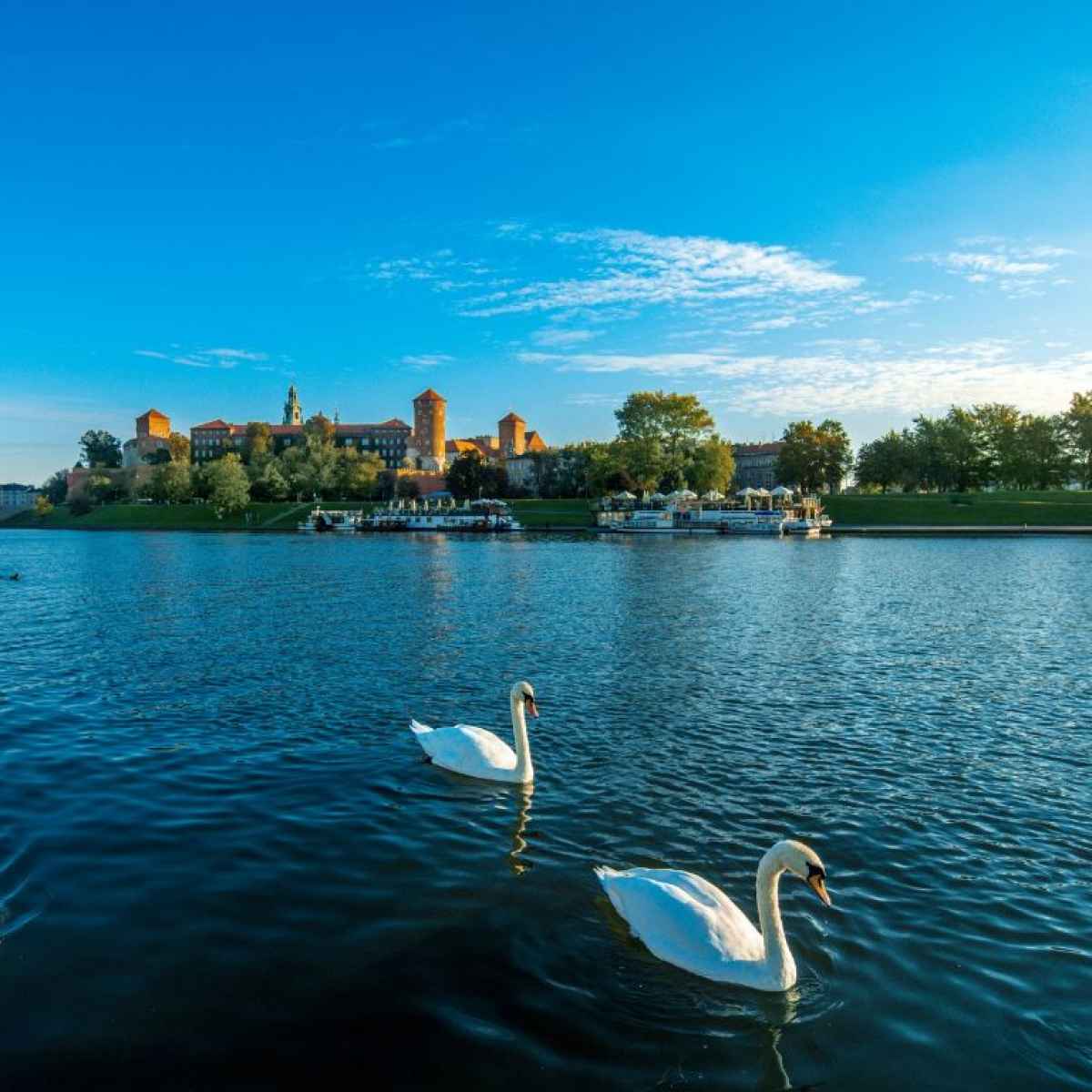 Croisière fluviale à Cracovie sur la Vistule