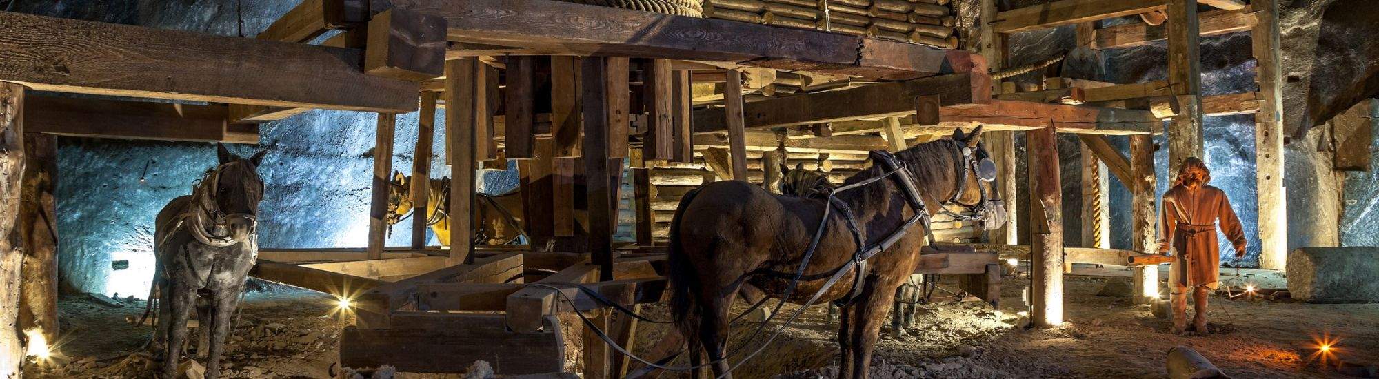 Du Néolithique à nos jours. L'histoire de la mine de sel de Wieliczka.