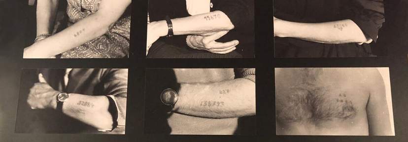 Tatouages Auschwitz Identification Symboles Survie tatouages-auschwitz-identification-symboles-survie